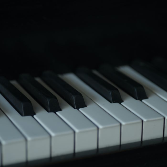Anique piano brand bosendorfer keys