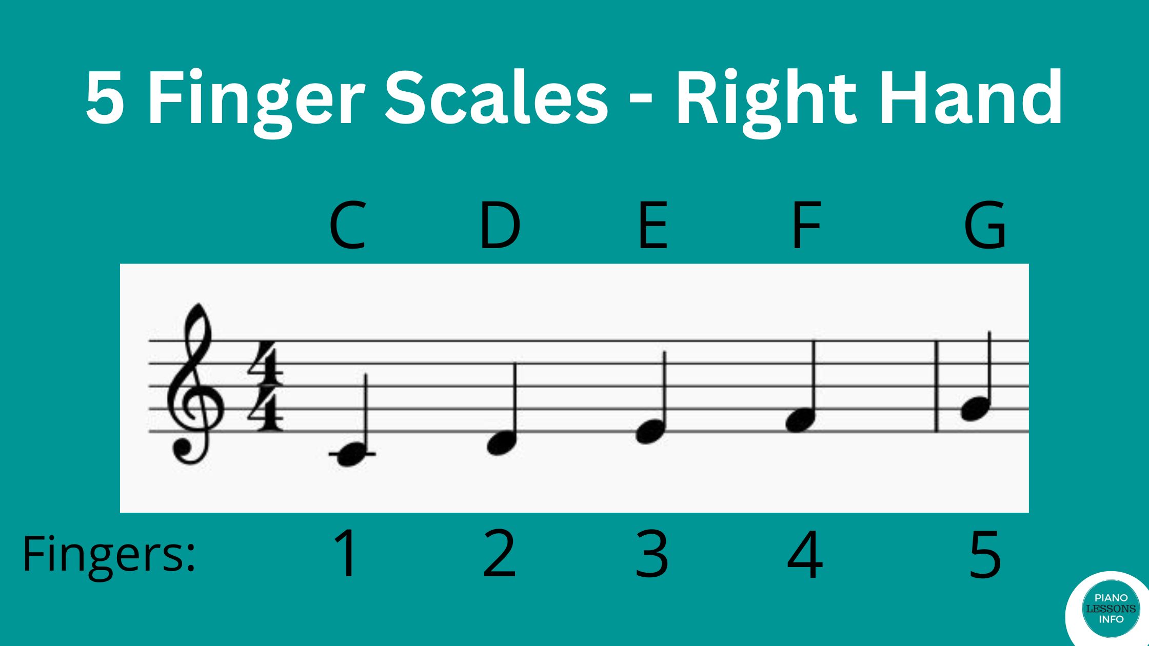 5 Finger Scale RH