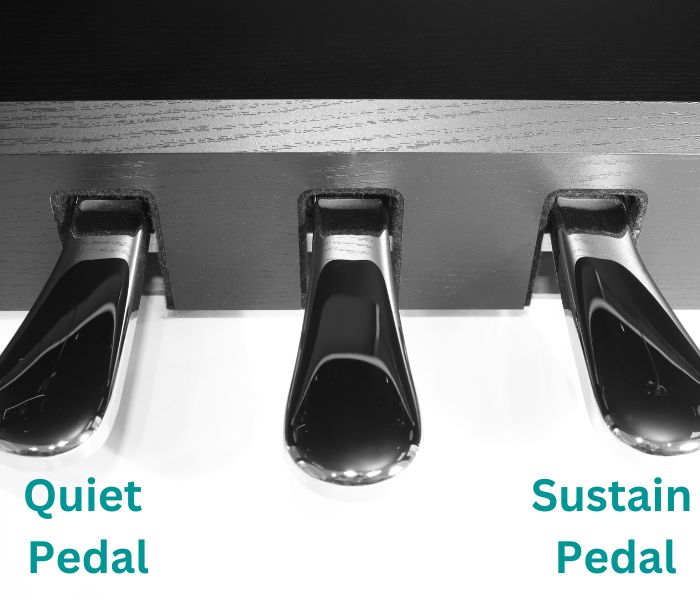 3 piano pedals labeled for quiet and damper pedal