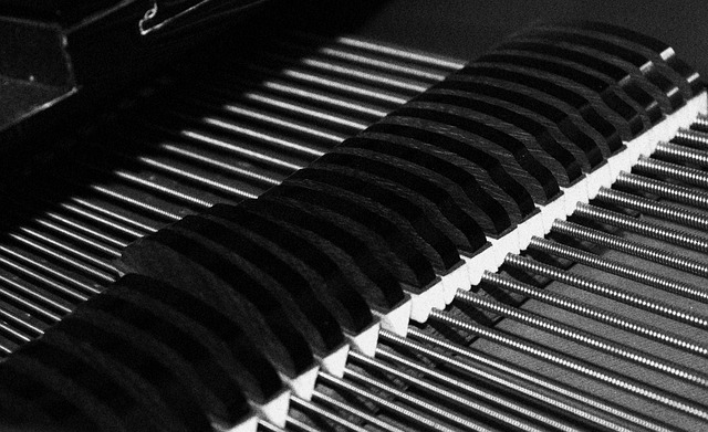 Piano Soundboard