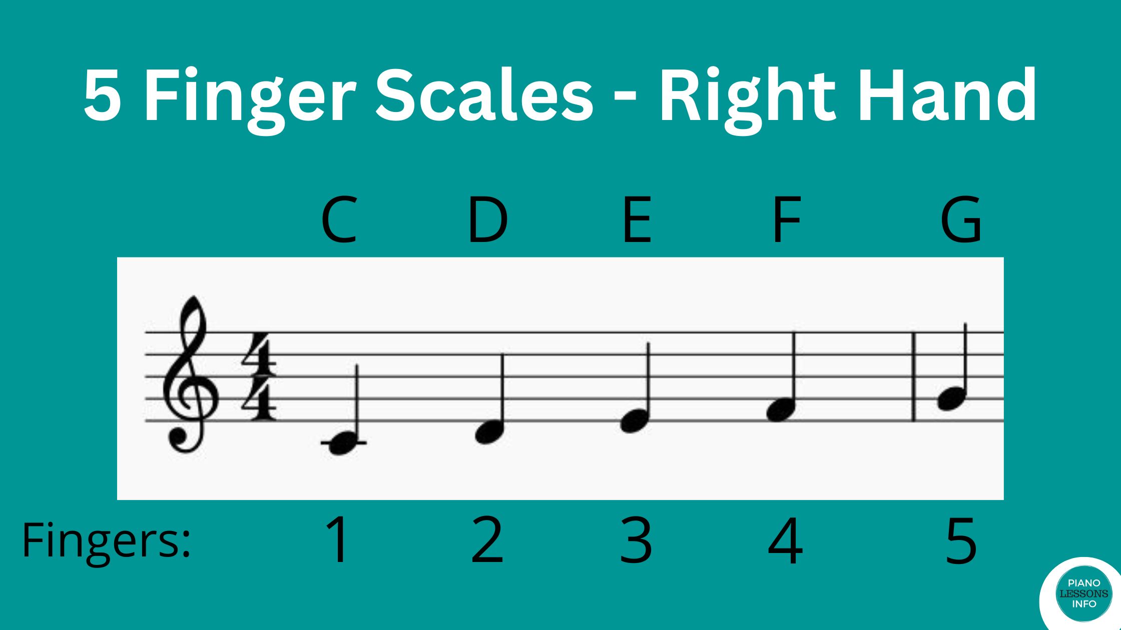 Master the basics with our guide on beginner piano exercises. Strengthen your fingers, improve rhythm, and enhance coordination skills.