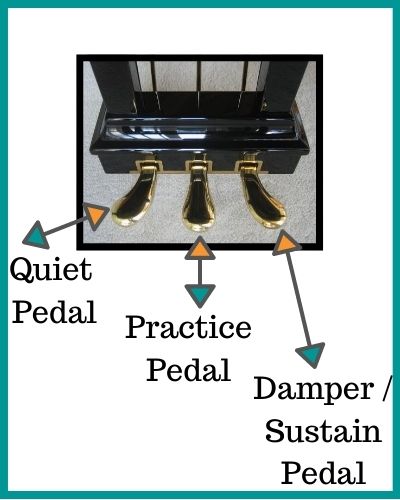 Wondering what the 3 piano pedals are for? Here is a quick explainer that will let you know what they are for and when to use them. 