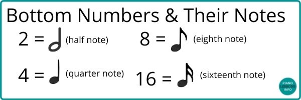Bottom numbers for time signatures.